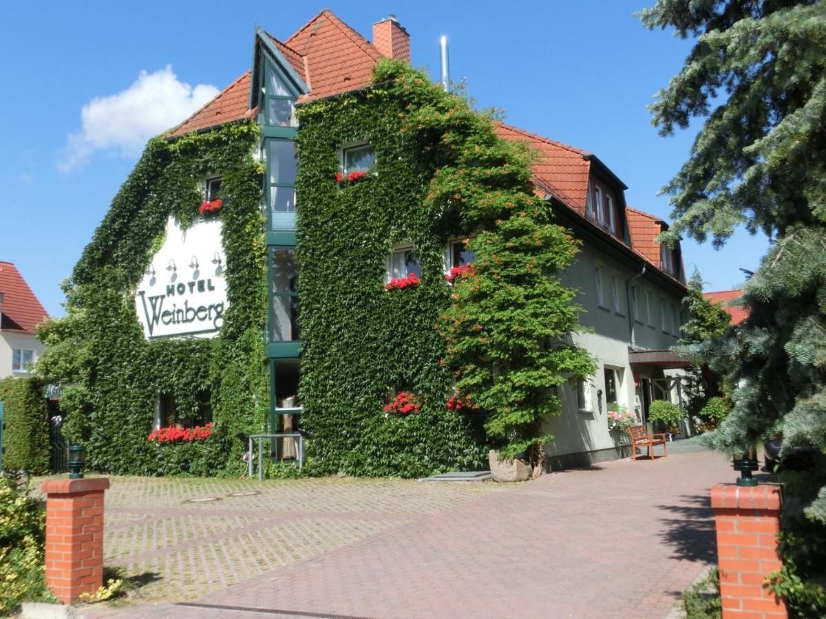 Pension Weinberg Güstrow Buitenkant foto